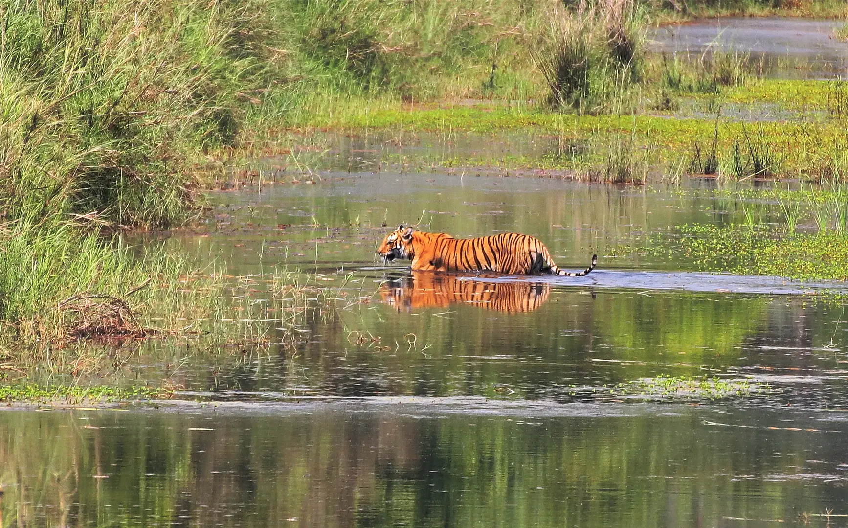 Bardiya National Park